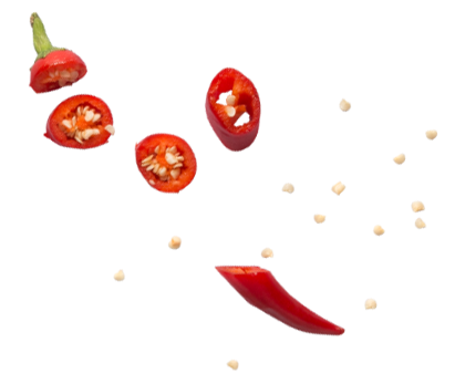 chili pepper rev1@2x